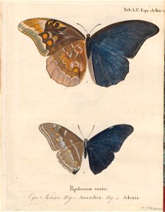 n124_w1150