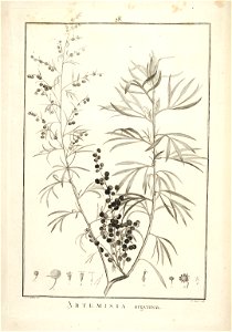 n43_w1150