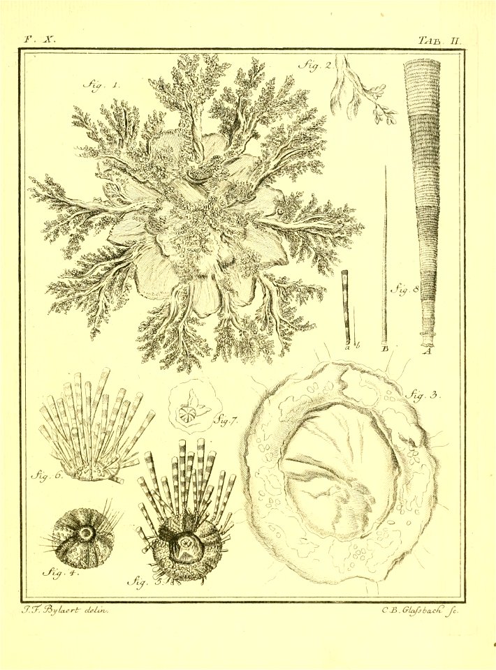 n546_w1150