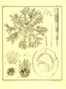 n546_w1150