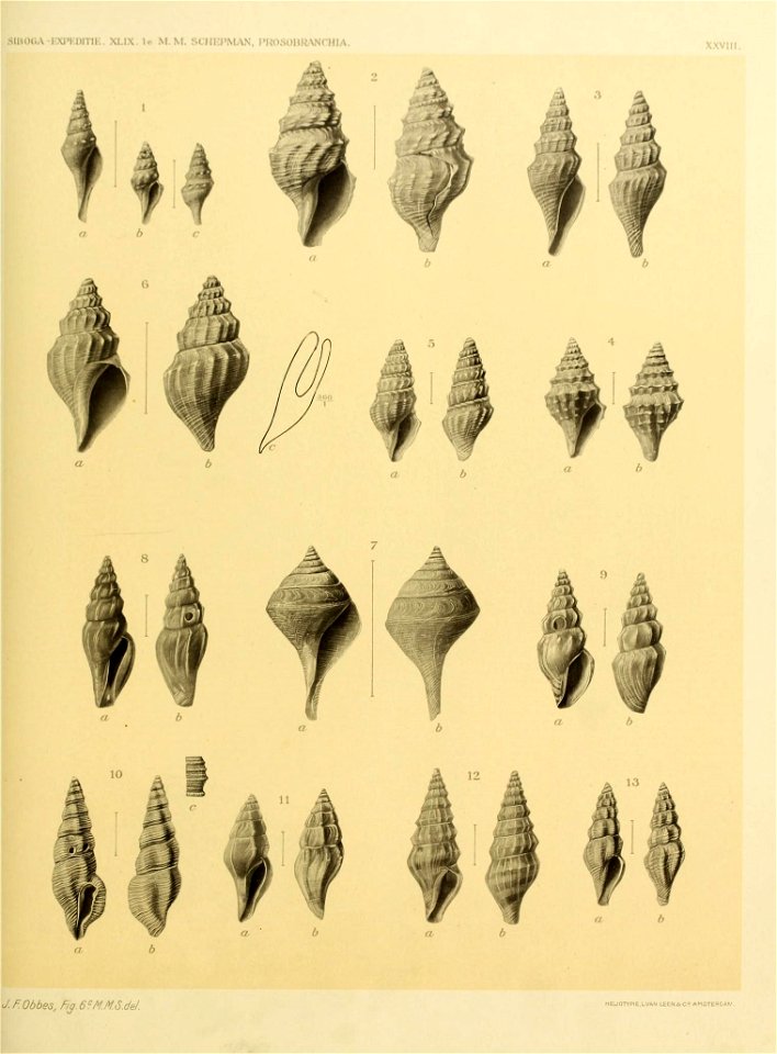n268_w1150