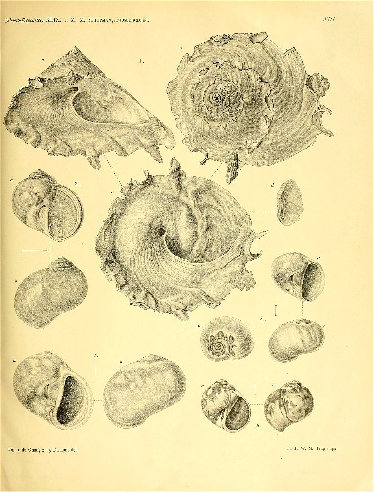 n302_w1150
