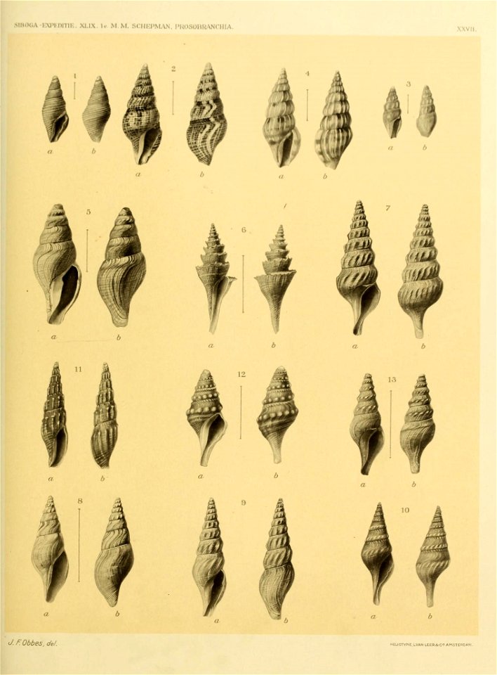 n264_w1150