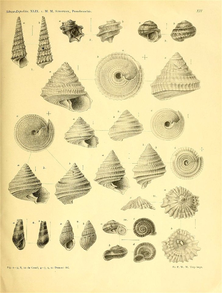 n298_w1150