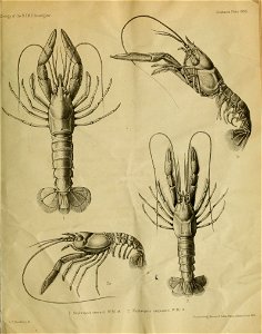 n122_w1150