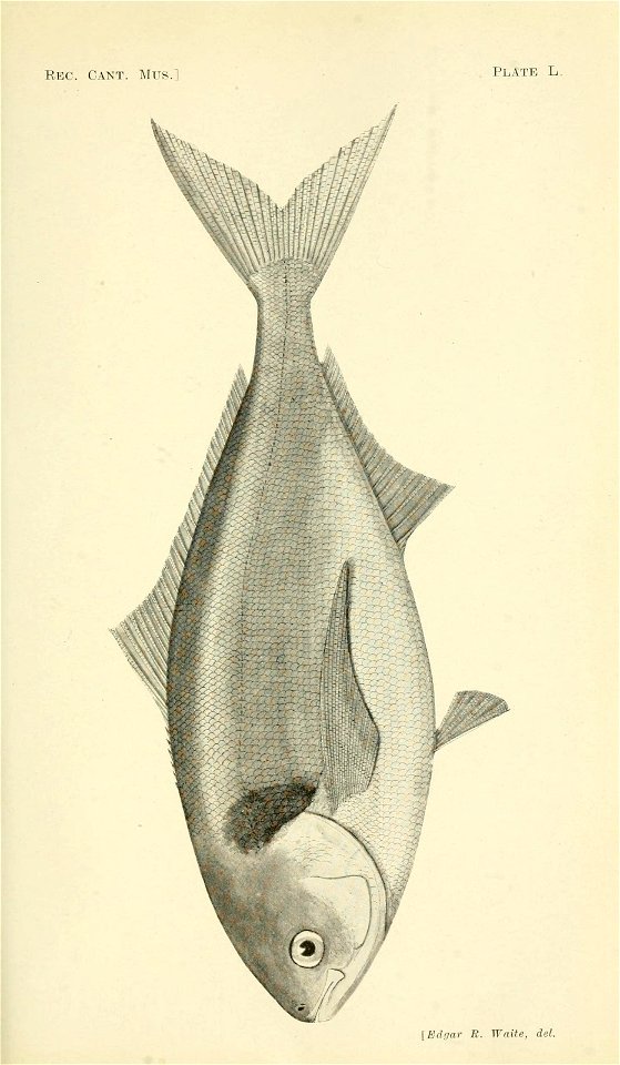 n366_w1150