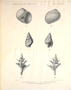 n96_w1150