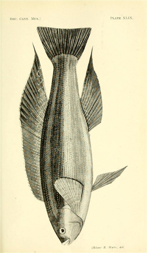 n364_w1150