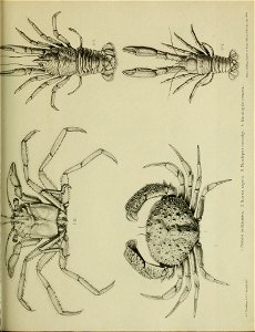 n182_w1150