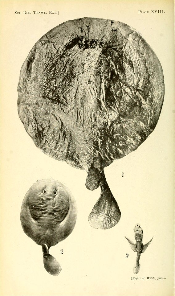 n187_w1150
