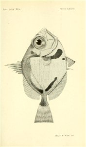 n330_w1150