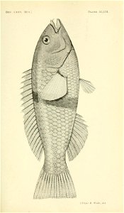 n360_w1150