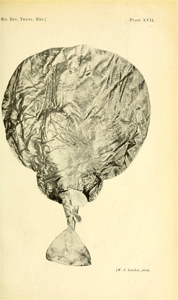 n186_w1150