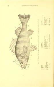 n45_w1150