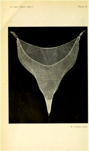 n79_w1150