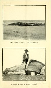 n452_w1150