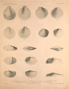 n16_w1150