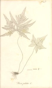 n82_w1150
