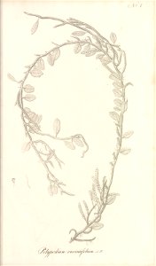 n56_w1150