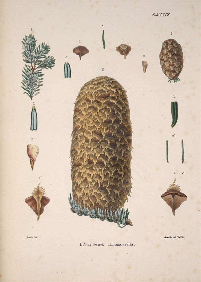 n129_w1150