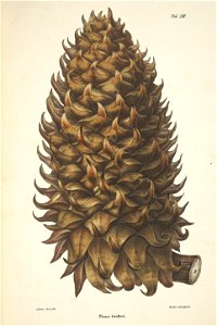 n57_w1150
