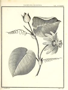 n428_w1150