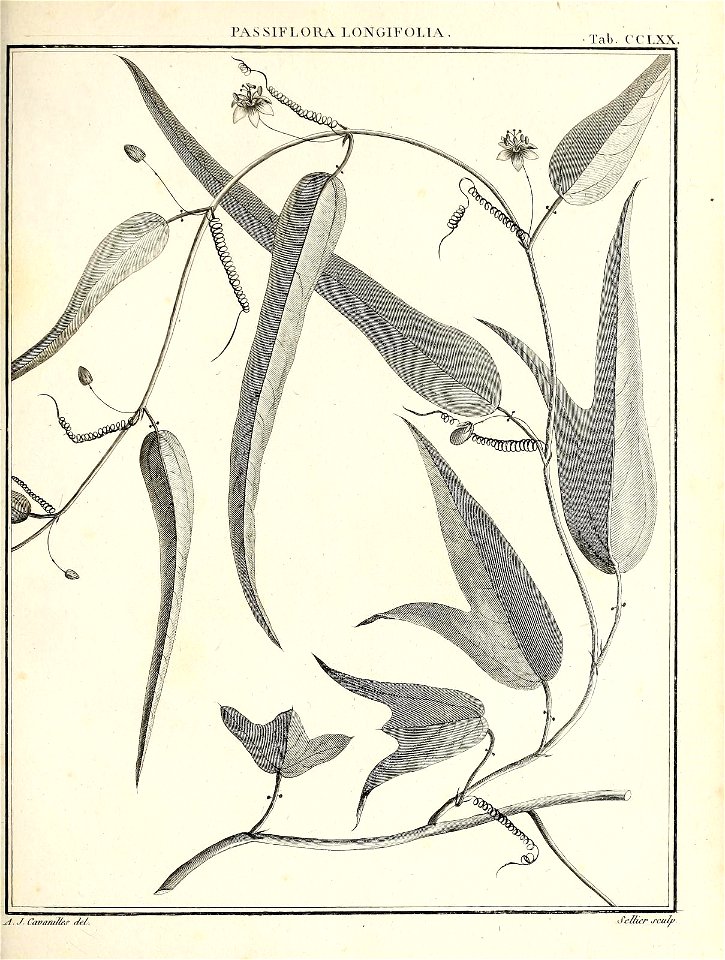 n398_w1150