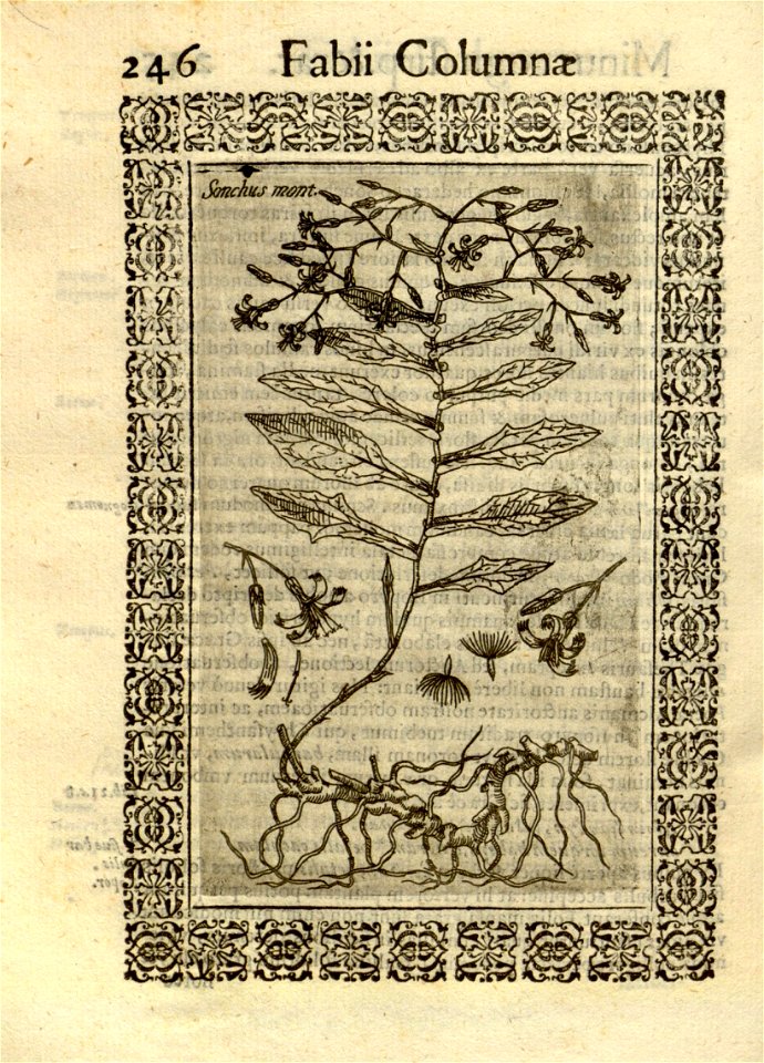 n255_w1150