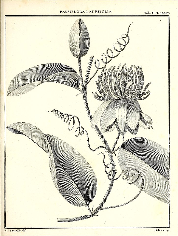 n426_w1150