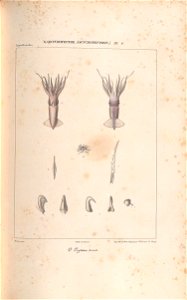 n276_w1150