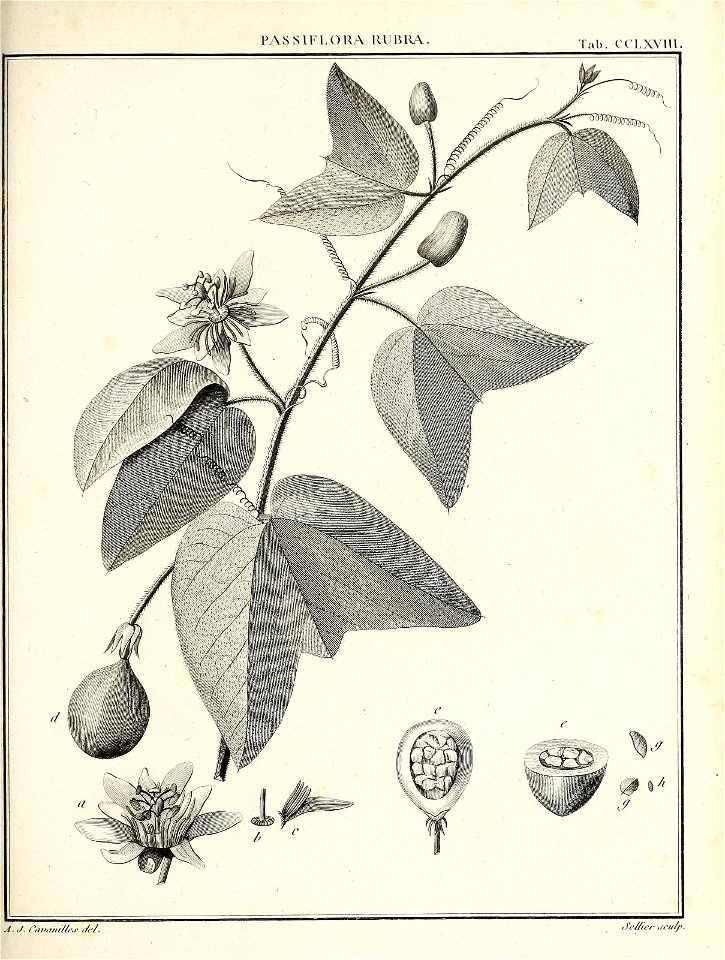 n394_w1150