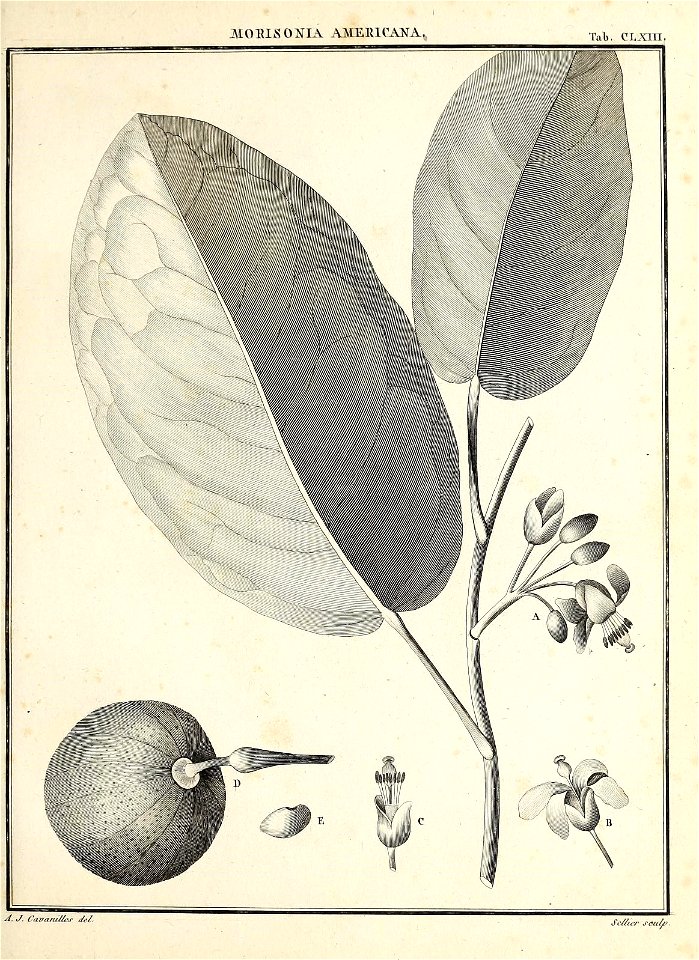 n68_w1150