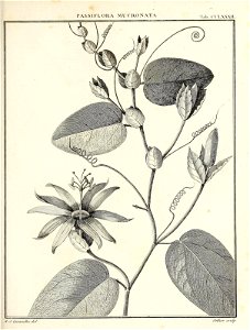 n422_w1150