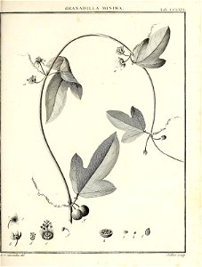 n390_w1150