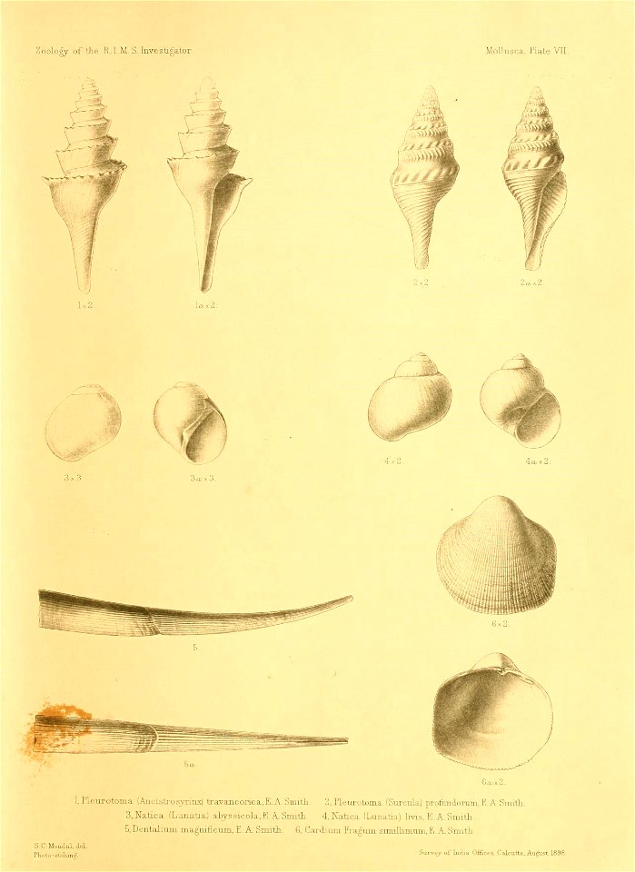 n46_w1150