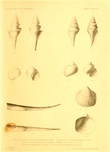 n46_w1150
