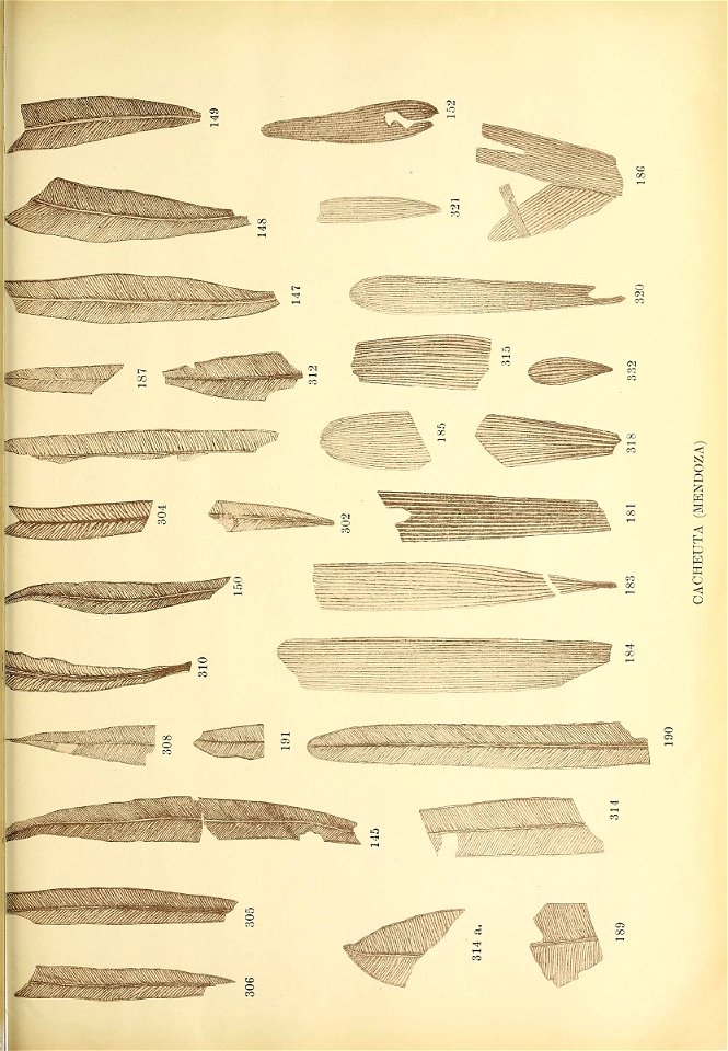 n342_w1150