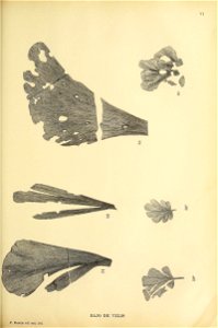n282_w1150