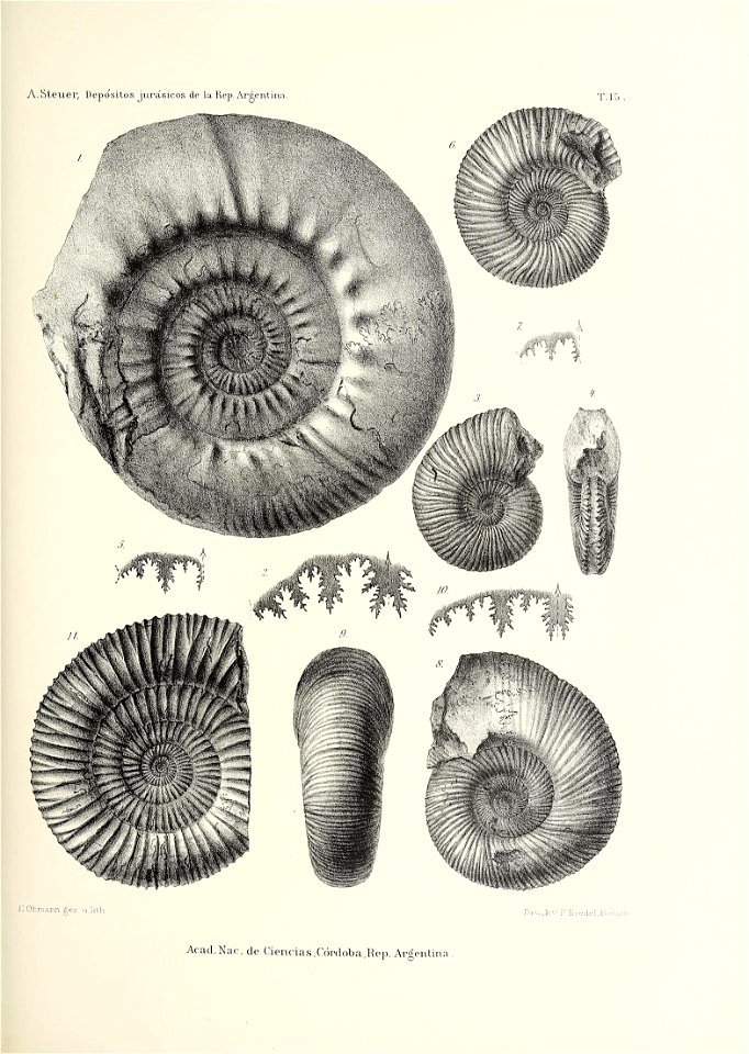 n196_w1150