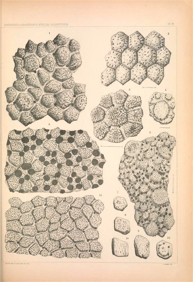 n1294_w1150