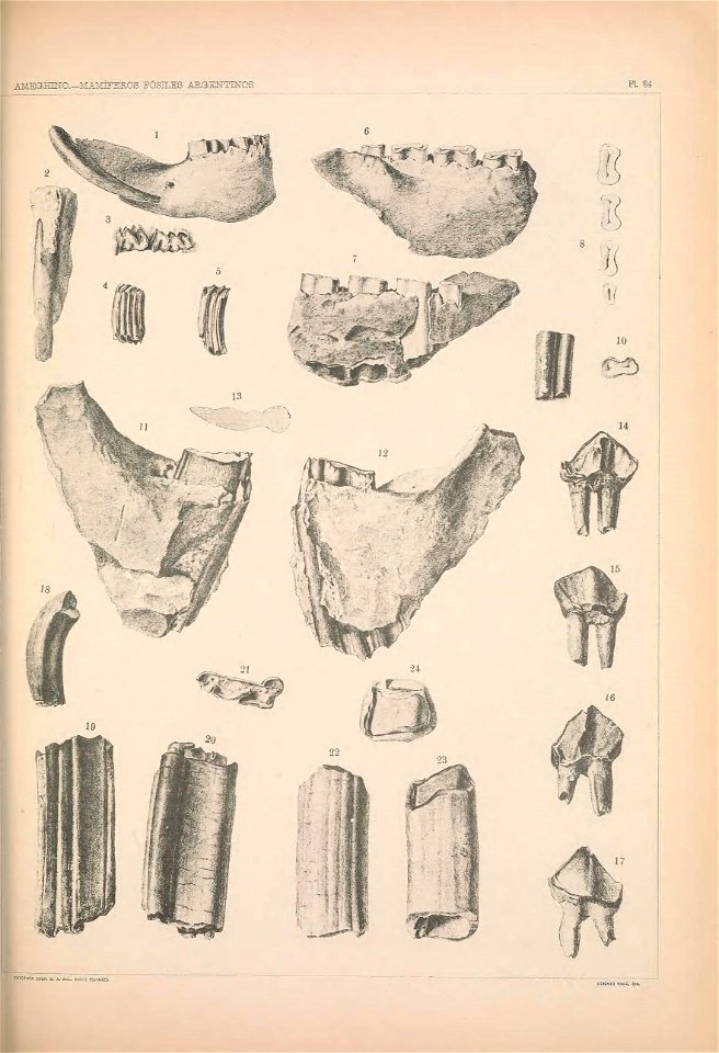 n1174_w1150