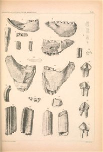 n1174_w1150