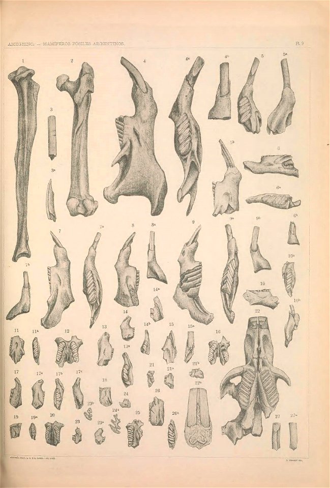 n1114_w1150