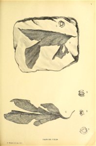 n278_w1150