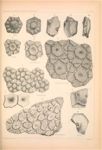 n1290_w1150