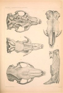 n1110_w1150