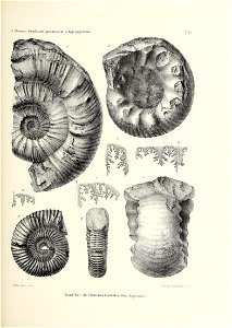 n188_w1150