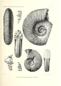 n184_w1150
