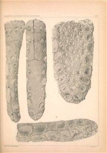 n1342_w1150