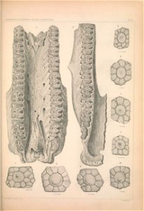 n1282_w1150